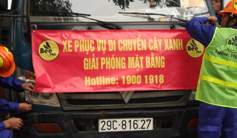 Hà Nội: Di chuyển, chặt hạ gần 1300 cây xanh trên đường Phạm Văn Đồng