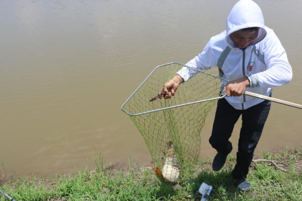 Hàng chục 'cần thủ' náo nức dự Giải câu giao lưu tại Bắc Ninh