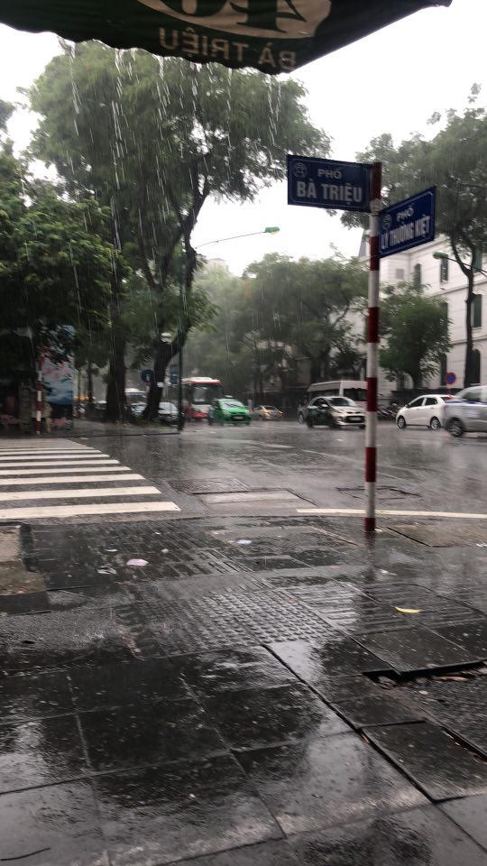 Mưa gió ào ào kéo đổ cây, nhiều đoạn phố Hà Nội bắt đầu ngập