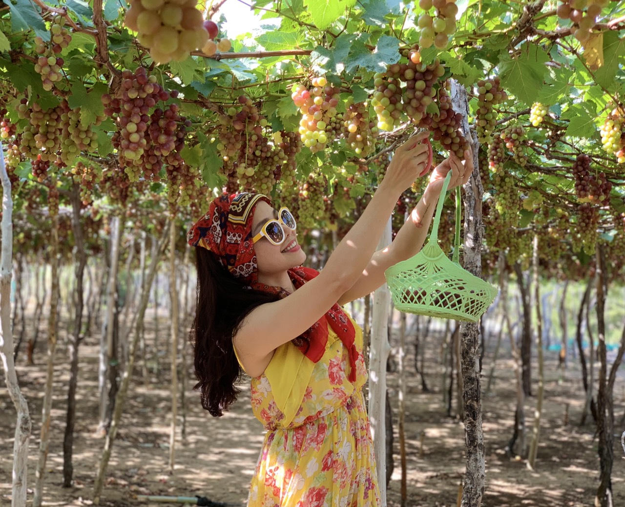 Xu hướng lựa chọn ApartHotel của nhà đầu tư “cá mập”