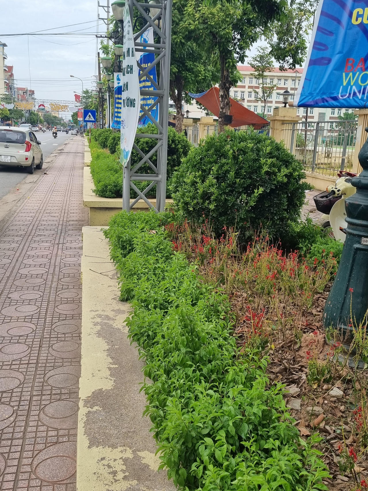 Hà Nội: Đầu tư hàng tỷ đồng kinh phí chăm sóc, cây xanh và thảm cỏ vẫn nhếch nhác khó tin