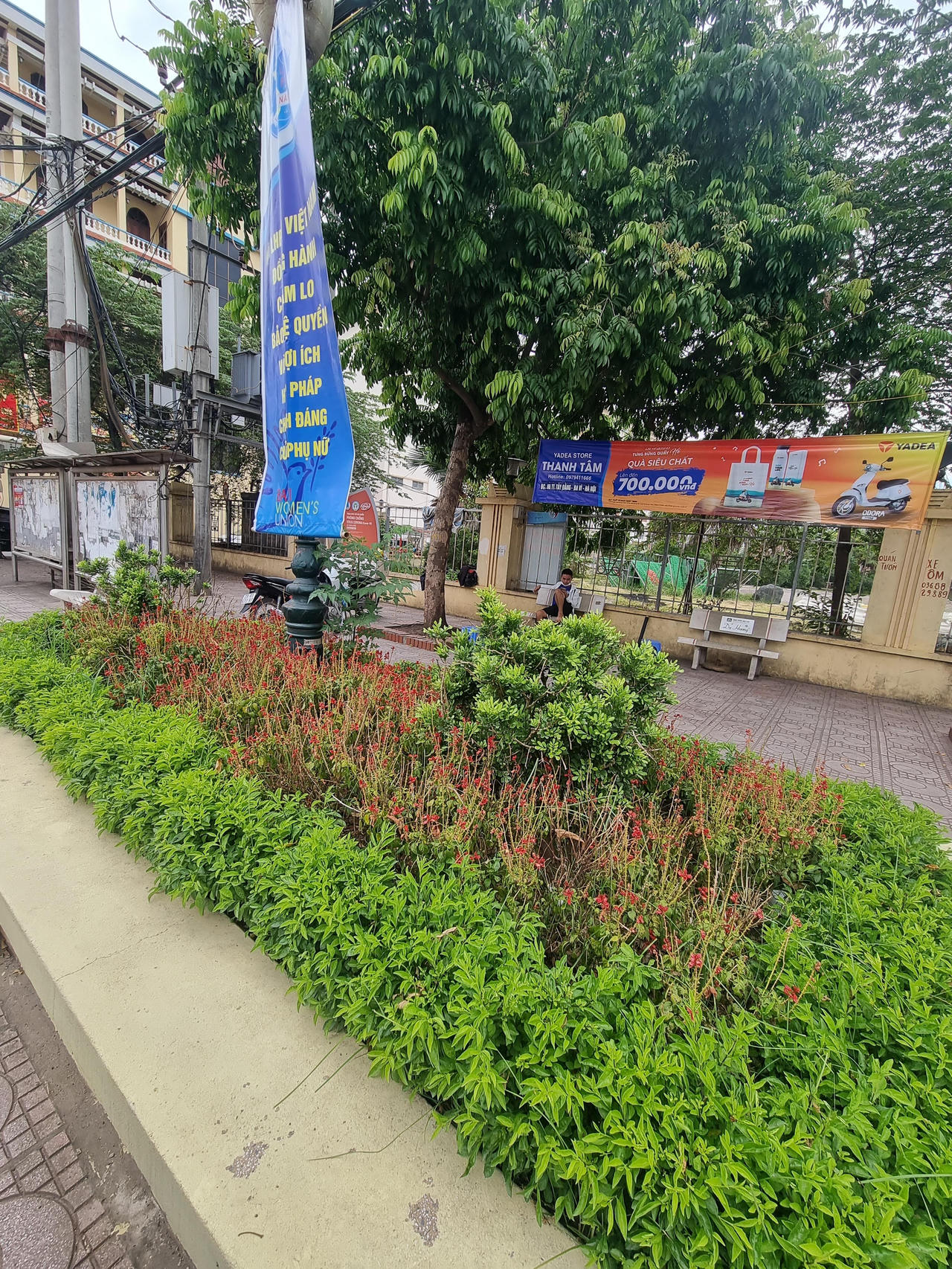 Hà Nội: Đầu tư hàng tỷ đồng kinh phí chăm sóc, cây xanh và thảm cỏ vẫn nhếch nhác khó tin