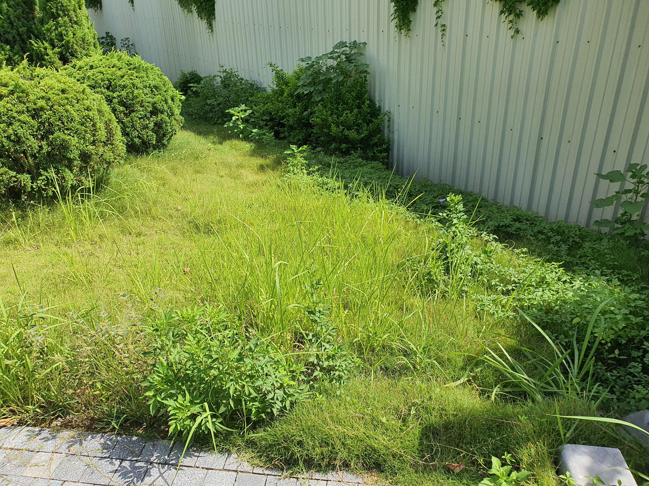 Hà Nội: Đầu tư hàng tỷ đồng kinh phí chăm sóc, cây xanh và thảm cỏ vẫn nhếch nhác khó tin