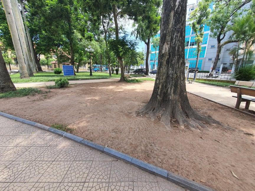 Hà Nội: Đầu tư hàng tỷ đồng kinh phí chăm sóc, cây xanh và thảm cỏ vẫn nhếch nhác khó tin