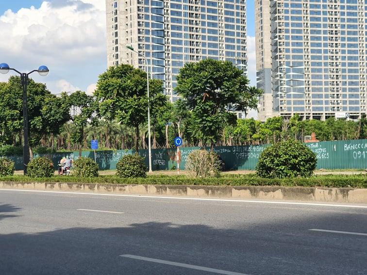 Hà Nội: Đầu tư hàng tỷ đồng kinh phí chăm sóc, cây xanh và thảm cỏ vẫn nhếch nhác khó tin