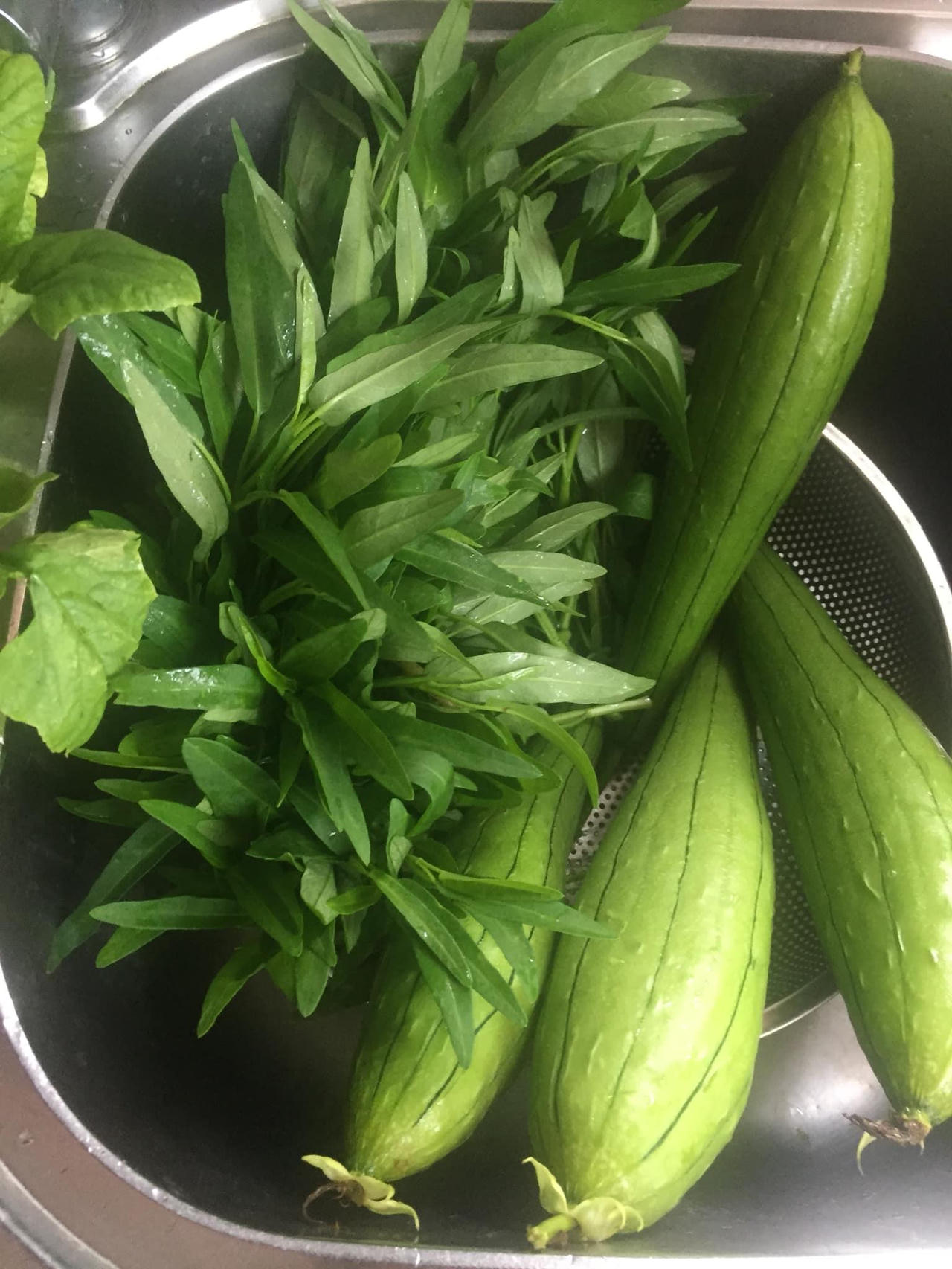 Thú vị với hình ảnh dân mạng khoe rau,củ tự trồng tại nhà 