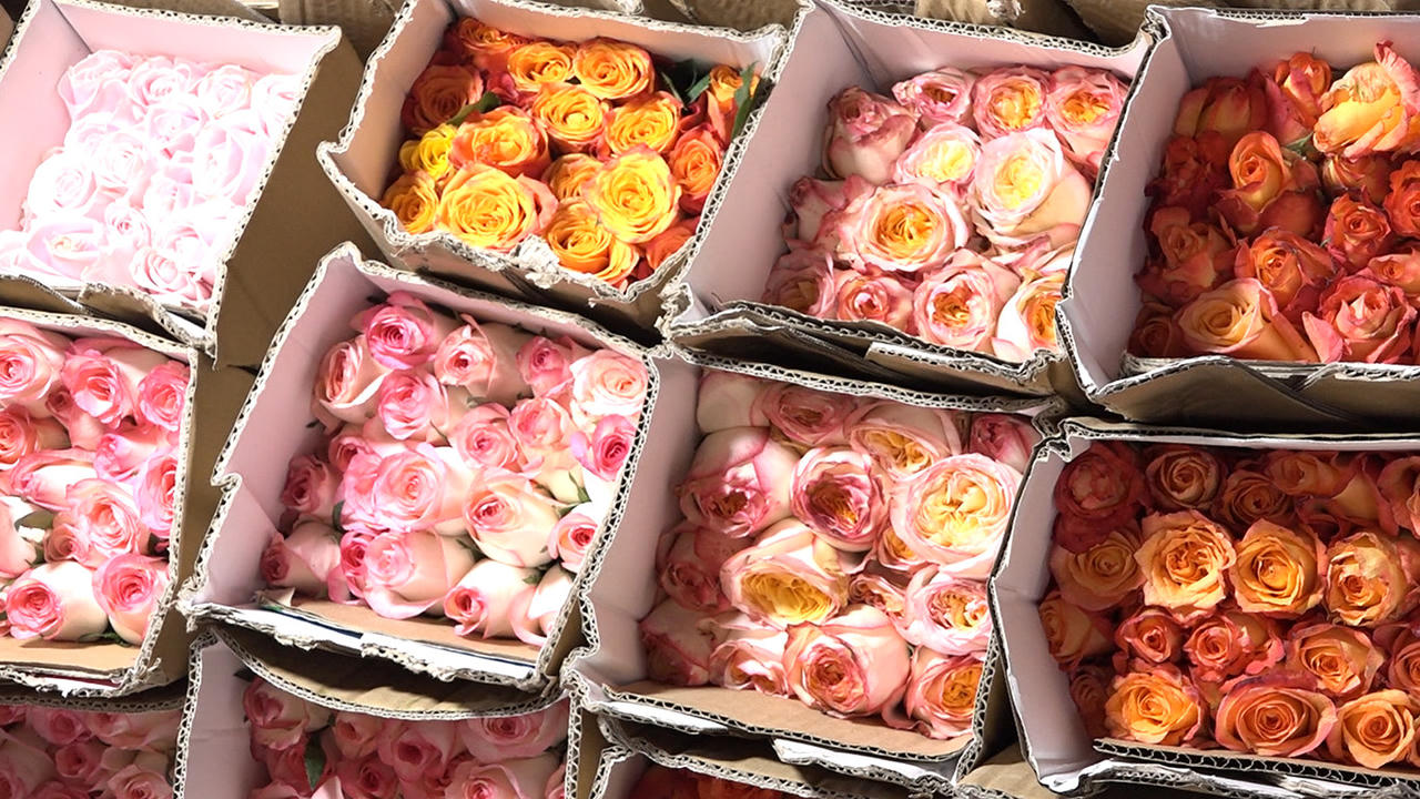 Chợ hoa Quảng Bá tấp nập dịp 20/10