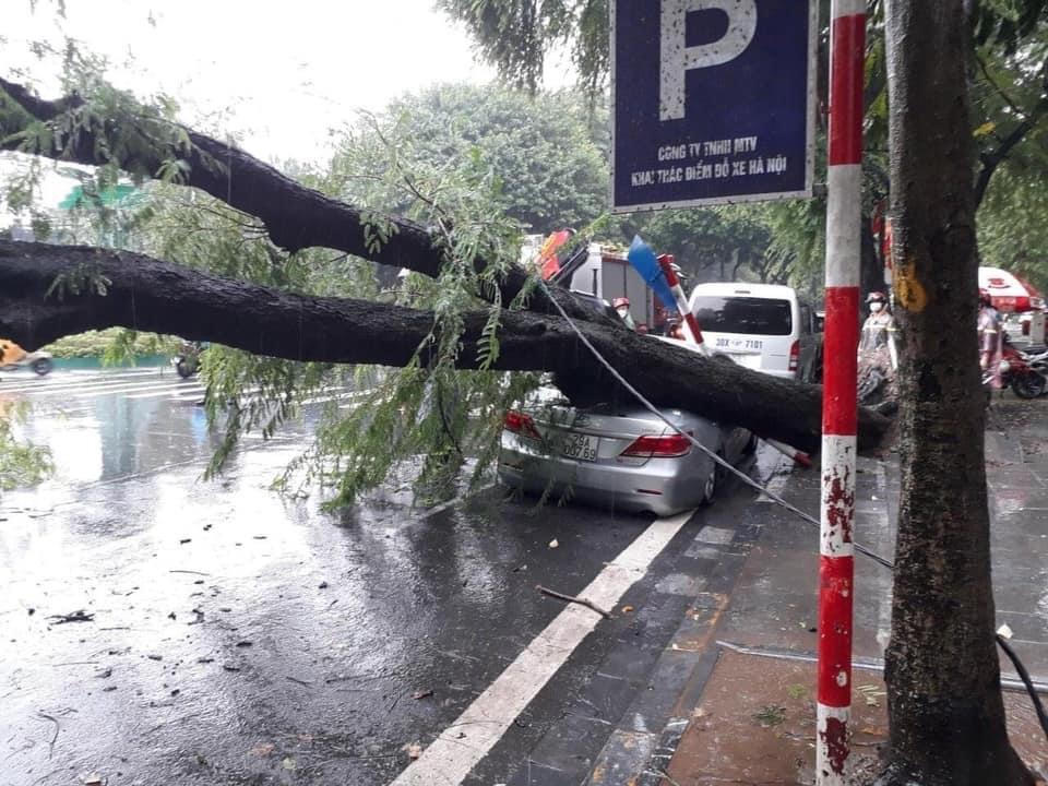 Cây xanh đổ, gãy do mưa bão đè trúng ô tô: Ai sẽ chịu trách nhiệm bồi thường?