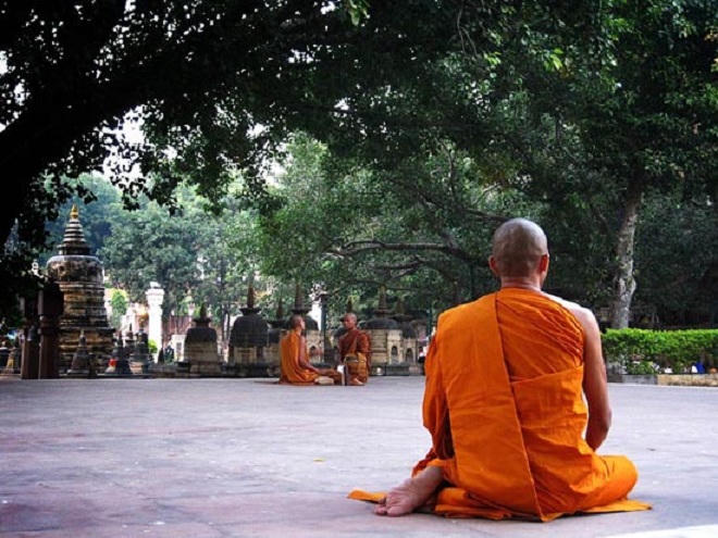 Giải mã 'cây giác ngộ' nơi đức Phật nhập cõi niết bàn