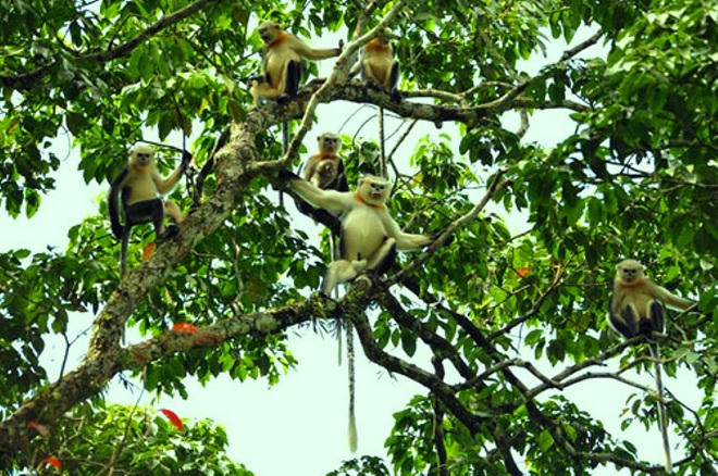 Khám phá chốn bồng lai tiên cảnh mang tên Du Già