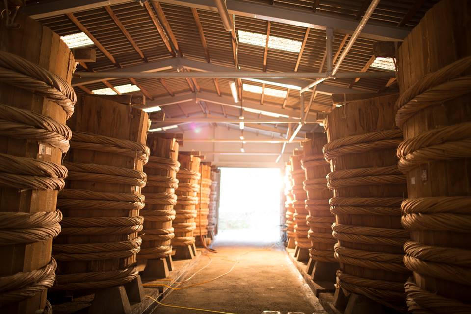 Kết quả hình ảnh cho du lich phu quoc xuong san xuat nuoc mam