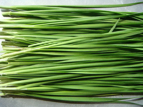 Chữa ho hiệu quả theo các bài thuốc dân gian