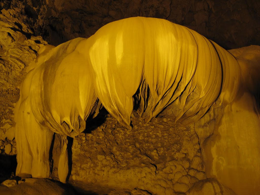 Kết quả hình ảnh cho động ngườm ngao