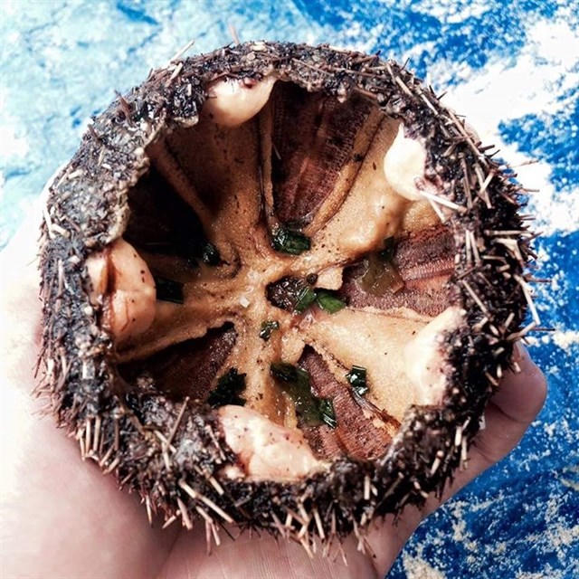 Khám phá Maldives Việt Nam dịp mùng 2/9 cùng gia đình