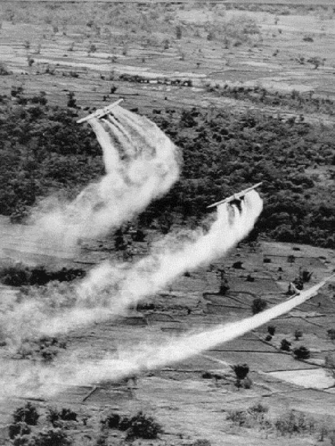 Hai phương pháp giải độc mới với nạn nhân chất độc da cam/dioxin