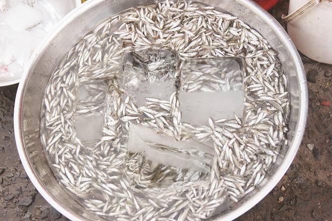 Người miền Tây thôi ngóng lũ về