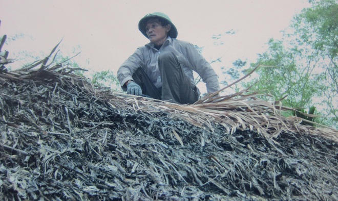 22 lần kỳ công “thay áo mới” mái tranh nhà Bác  