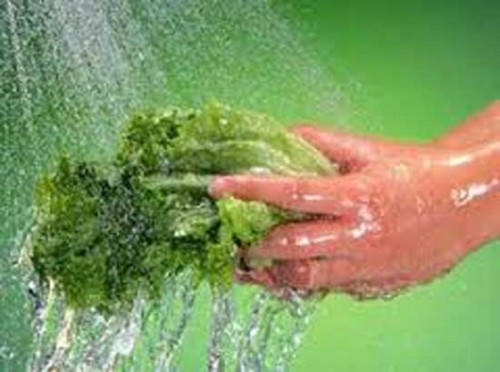 Kết quả hình ảnh cho thả rau củ vào nước lã