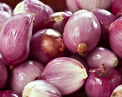 Kết quả hình ảnh cho gia vị hành ta