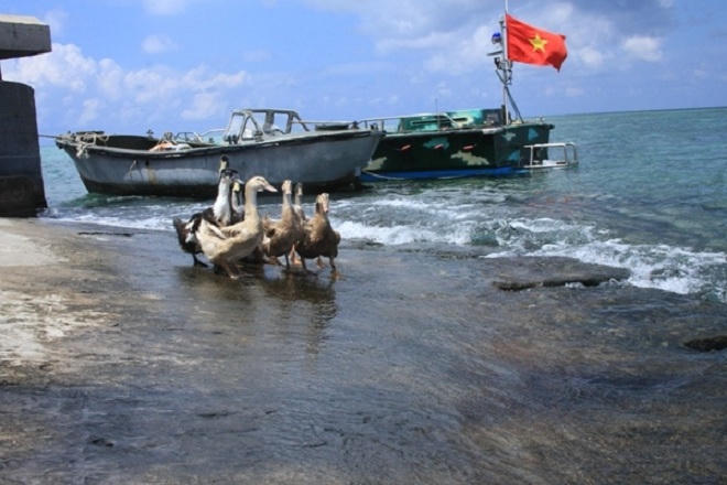 Diệu kỳ mầm xanh Trường Sa