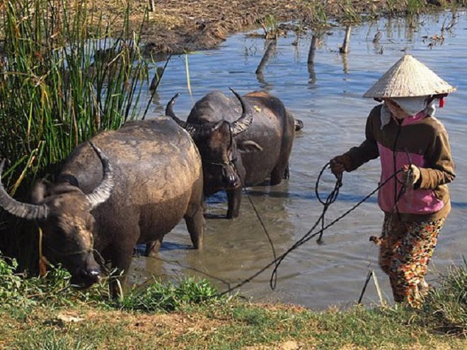 Chàng “Tây ba lô” chia sẻ bí quyết đạp xe xuyên Việt
