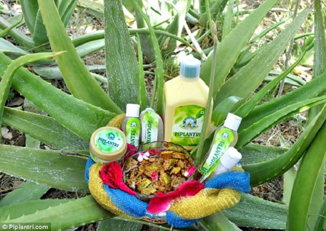 Kỳ thú ngôi làng trồng 111 cây xanh mừng ...đẻ con gái!