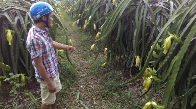 Bé gái bị sát hại trong đêm trung thu: Khốn khổ thiếu thốn từ lúc sinh ra tới lúc chết