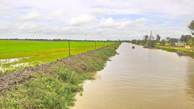 Cần Thơ:  Nông dân kiên quyết phản đối khi được xã vận động làm lúa vụ 3