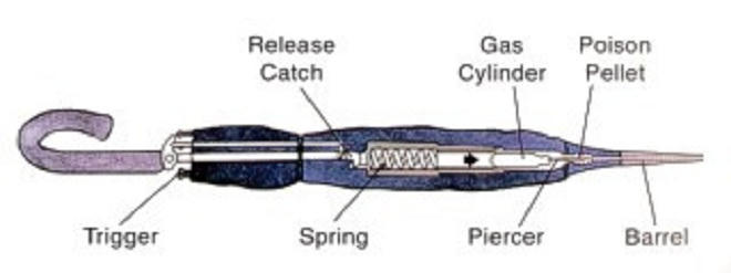 'Chiếc ô giết người' ám sát nhà báo BBC như thế nào?