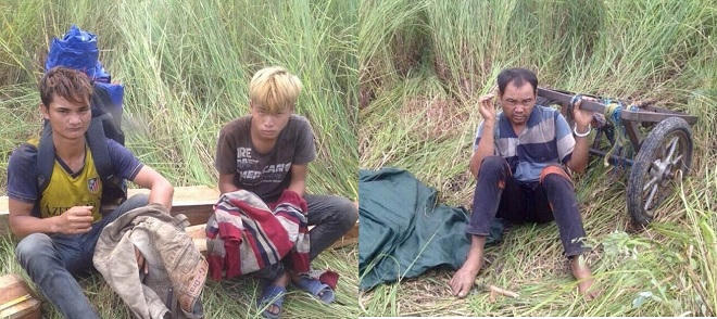 Đau xót cảnh cả rừng phòng hộ lẫn bảo tồn đều không thoát lưỡi cưa của lâm tặc 