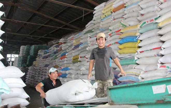 Viễn cảnh nào cho ngành hàng lúa gạo Việt Nam