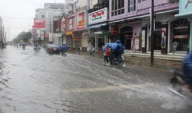 Cây xanh trong thành phố Huế tiếp tục gãy đổ vì mưa gió