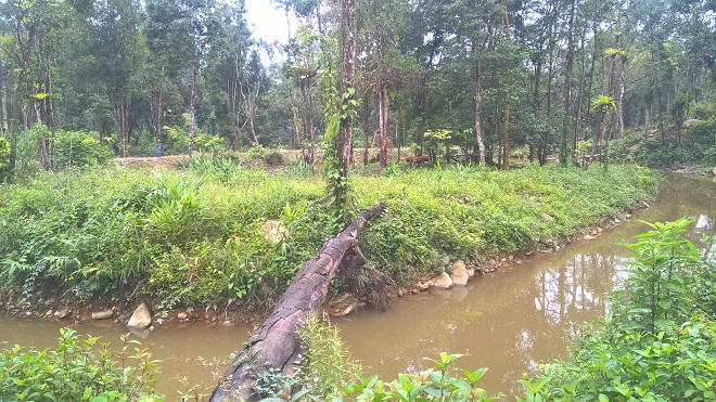 Trần tình của bốn anh em cọc chèo cùng làm lãnh đạo 1 huyện