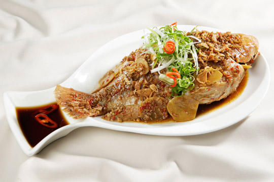 Kết quả hình ảnh cho Cá diêu hồng kho tương hột