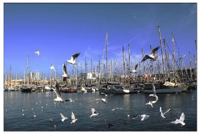 Mãn nhãn với “Hương sắc trăm miền“