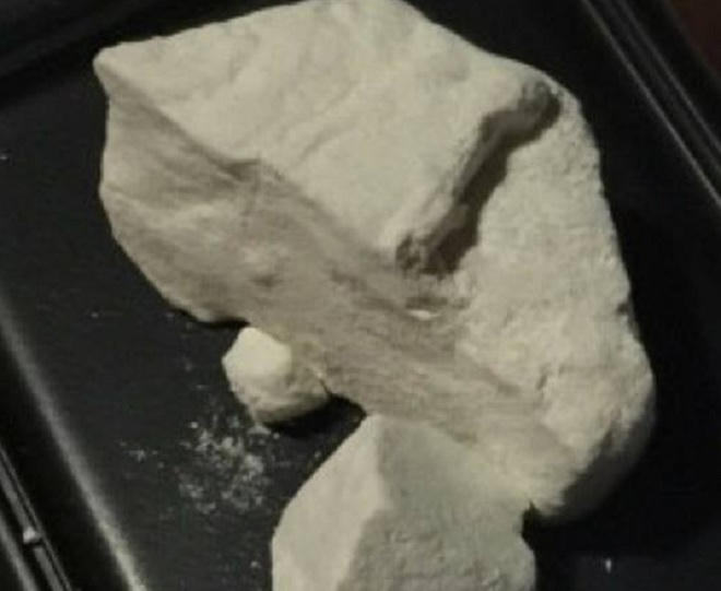  'Cáo già' sa lưới