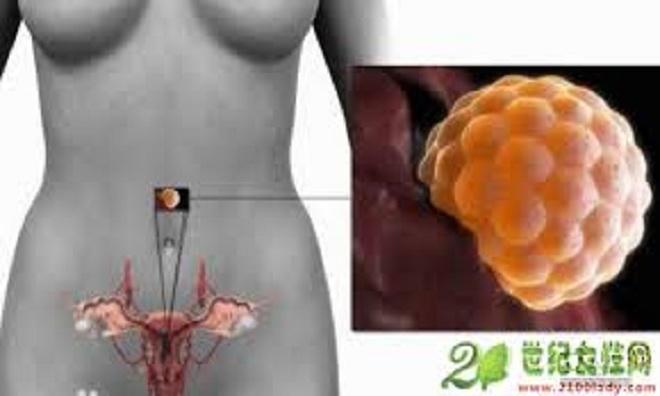 Kinh hoàng 'chợ đen' trứng nữ sinh ở Trung Quốc