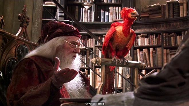 'Giải mã' sinh vật huyền bí trên màn ảnh