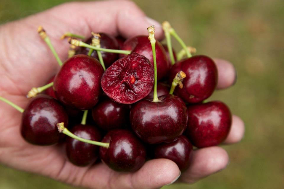 Kết quả hình ảnh cho Dùng đầu kim băng móc hạt cherry