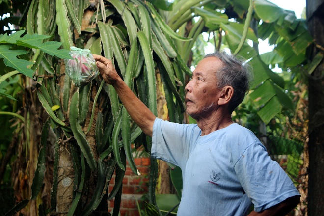 Kỹ sư về hưu giúp nông dân nhìn trời đoán thời tiết 