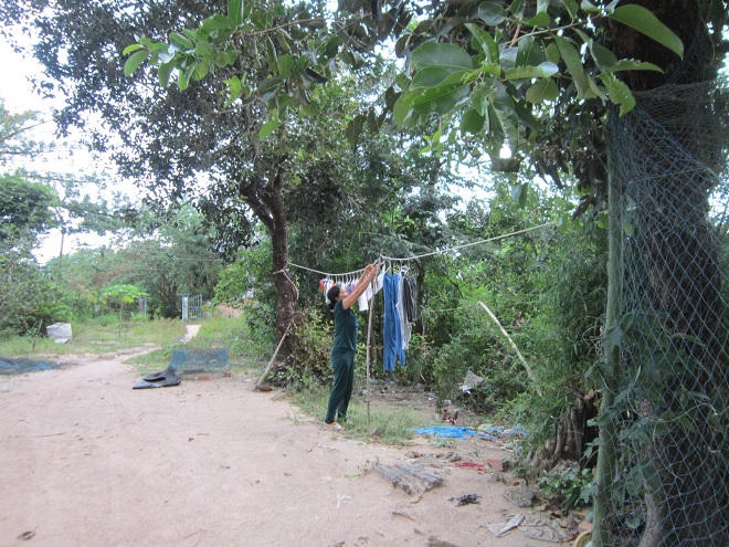 Vụ bé gái tử vong do cứu em khỏi đàn ong: Bé trai thần giao cách cảm 'gặp' lại chị gái?