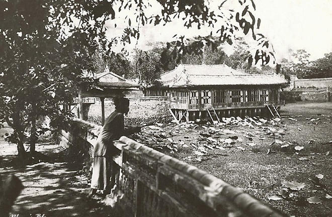 Ngai vàng lung lay bởi con dân thường tài trí