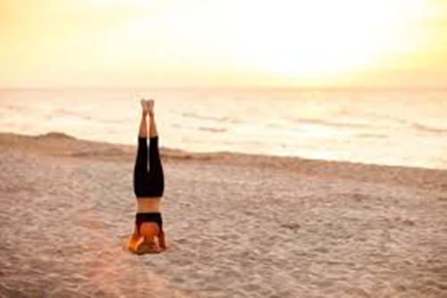 Kết quả hình ảnh cho tập thể dục trồng cây chuối sao Châu Âu