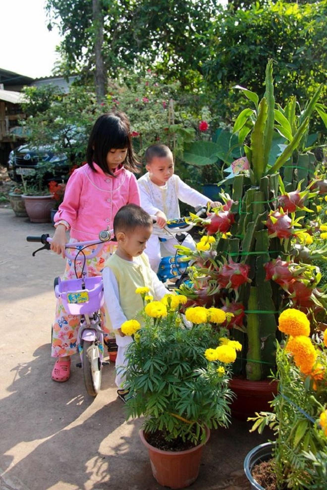 Hụt hơi chạy marathon Tết nội, Tết ngoại 