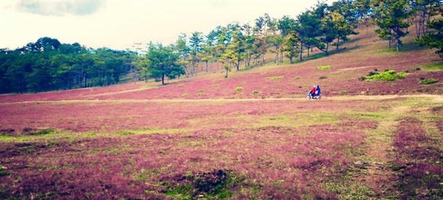 Hình ảnh có liên quan