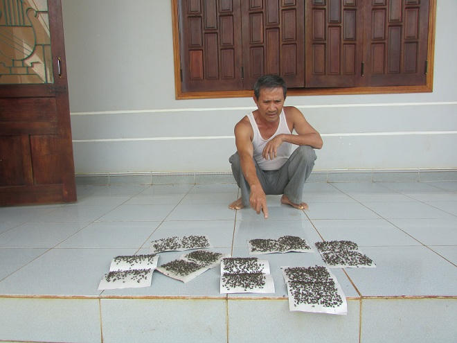 Đắk Lắk:  Than “trời” vì trại heo gây ô nhiễm