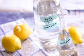 Kết quả hình ảnh cho giấm