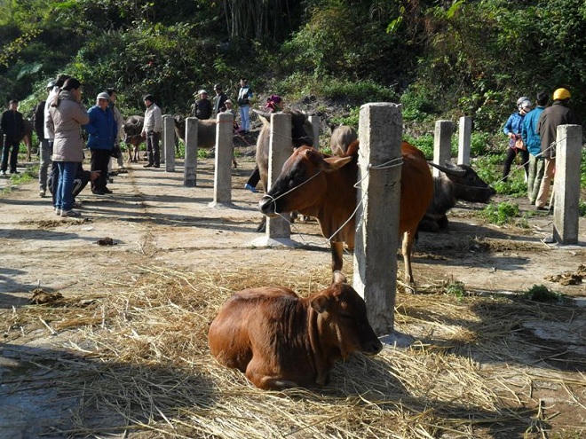 Độc đáo phiên chợ, đi không phải vì... tiền