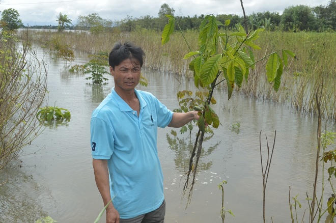 Đắk Lắk: Công ty cà phê tích nước gây khốn đốn cho dân