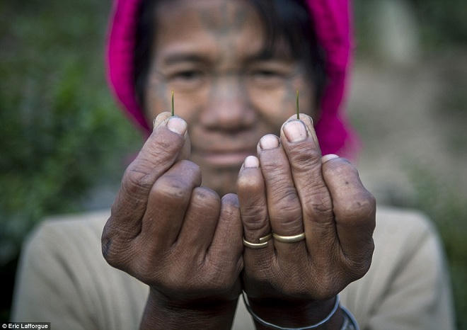 Vẽ mặt như ô bàn cờ để... làm đẹp